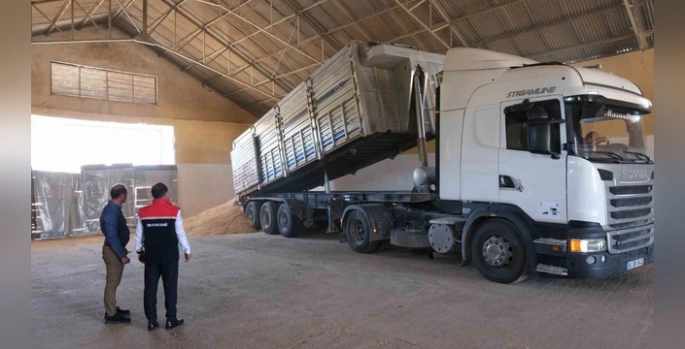 Erzincan'da ilk arpa hasadı: Çilesiz Köyü'nden rekolte sevinci