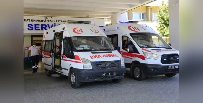 Maden'de kene ısırması: 54 yaşındaki adam hastaneye kaldırıldı