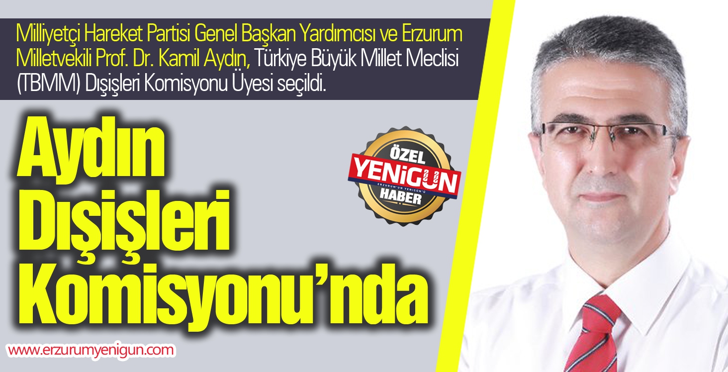 Aydın Dışişleri Komisyonu’nda