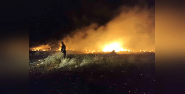 Akçadağ'da yangın: 25 kayısı ağacı zarar gördü