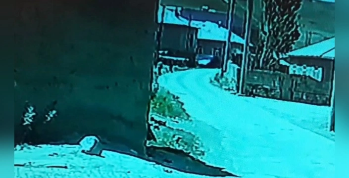Özalp'te kamyonet kazası: Çocuklar korku dolu anlar yaşadı
