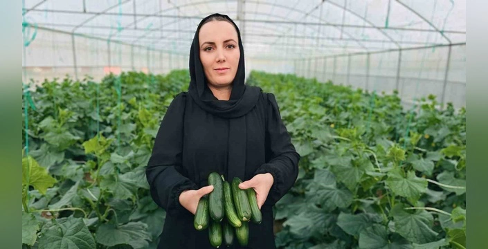 Yüksekova'da 3,5 ton salatalık hasadı: Marya Esenkol'un başarı öyküsü