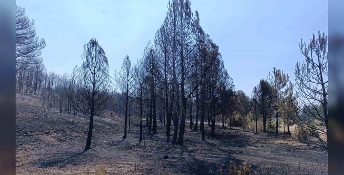 Afyonkarahisar ve Eskişehir'de yangın felaketi: 10 şehit, 14 yaralı
