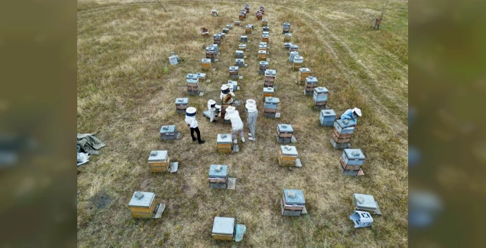 Ağrı'da Emekli İmamın Başarısı: 200 Kovandan Bal Üretimi