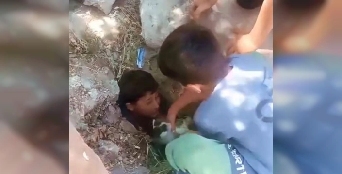 Ağrı'da yavru kedi foseptik çukurundan kurtarıldı