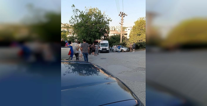 Alaplı'da kamyonet kazası: Sürücü hayatını kaybetti