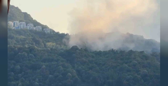 Amasra'da sis paniği: Askeri helikopterler inişte zor anlar yaşadı