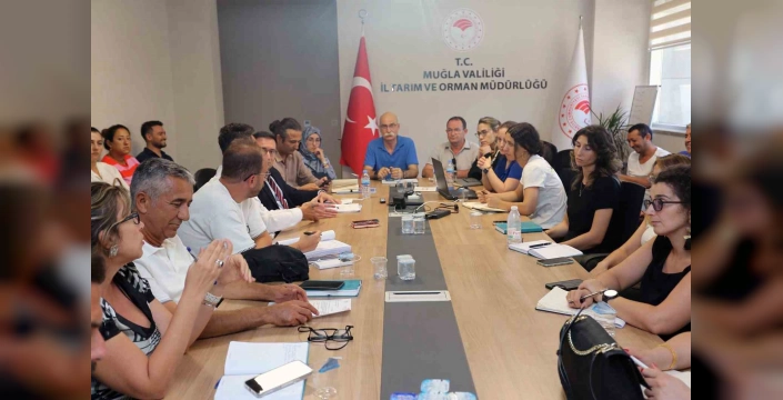 Batı Akdeniz Havzası Taşkın Raporu: Riskli Alanlar Belirlendi