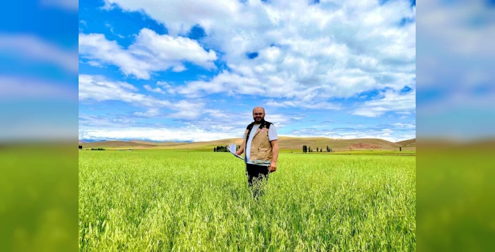 Bayburt'ta yem bitkileri ekim alanları tespit ediliyor