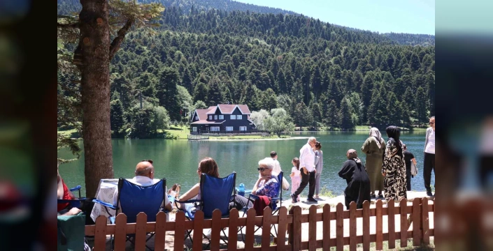 Bolu'da Ateşli Piknik Yasaklandı: Orman Yangınlarına Karşı Önlem