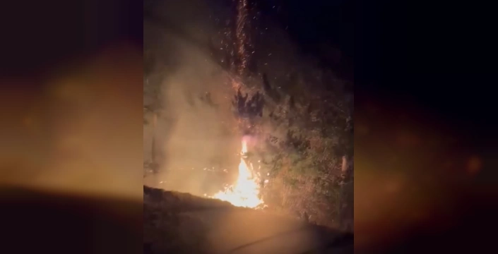 Bolu'da Orman Yangını Tehlikesi Geçti: Hızlı Müdahaleyle Facia Önlendi