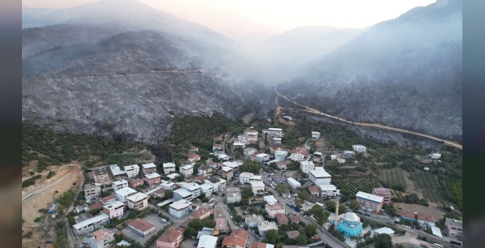 Bursa'da büyük yangın: 100 hektardan fazla alan kül oldu