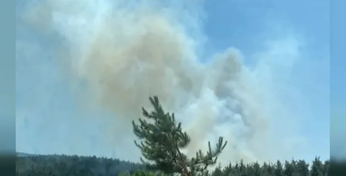 Bursa ve Balıkesir'de Orman Yangını: 170 Kişi Tahliye Edildi