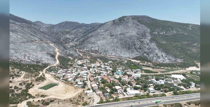 Bursa Yangınları: Gürsu'da Küle Dönen Ormanlar ve Yüreklere İşleyen Acı