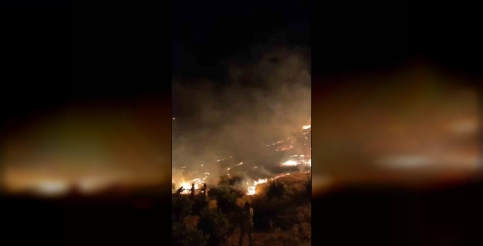 Çanakkale ve Tekirdağ'da orman yangını: Rüzgar ekiplerin mücadelesini zorlaştırıyor