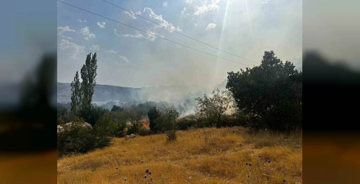 Diyarbakır'da yangın: Yaklaşık 350 dönüm kül oldu