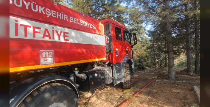 Doğu Anadolu'da Orman Yangınları Kontrol Altına Alındı: Malatya'da büyük mücadele