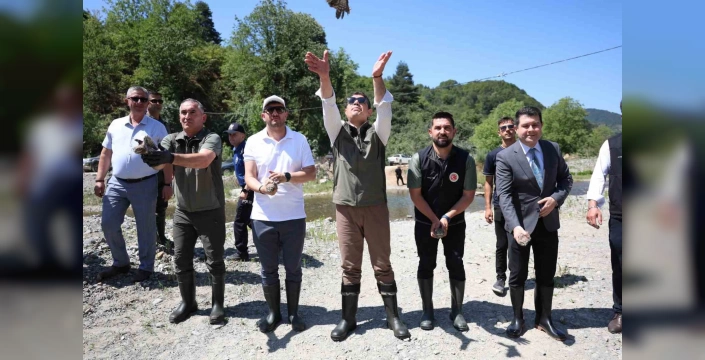Düzce'de doğaya hayat: 20 bin alabalık yavrusu ve 5 kukumav kuşu doğaya salındı