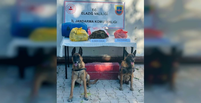Elazığ'da Büyük Uyuşturucu Operasyonu: 511 Kök Kenevir Ele Geçirildi