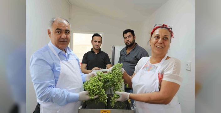 Elazığ'da kadın çiftçilere destek: Tarımsal yeniliklerle buluşma