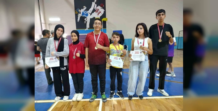 Elazığ'lı Wushu Kung Fu Sporcuları Malatya'da Parladı