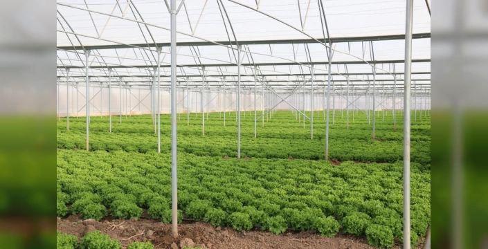 Erzincan'da Dev Sera Projesi: Bölge Ekonomisine 350 Milyon TL Katkı