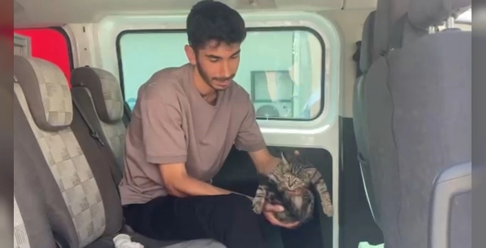 Erzincan'da itfaiye kahramanlığı: Motor kısmına sıkışan kedi kurtarıldı