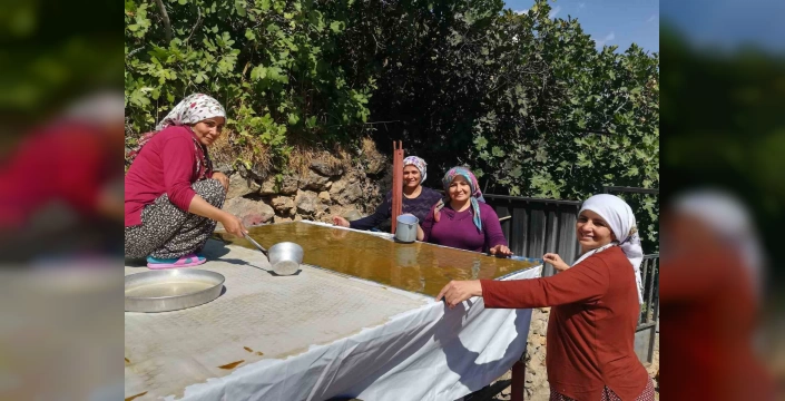 Erzincan'da kadınlar dutla pestil yapıyor