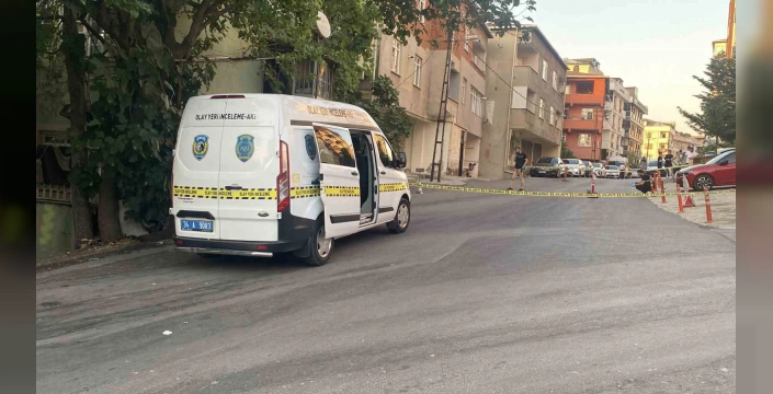 Erzurum'da değil ama can yakıcı kaza: Yaşlı kadın hayatını kaybetti