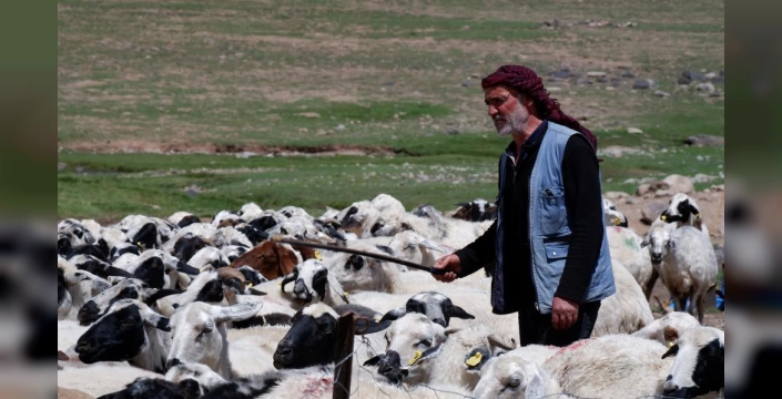 Erzurum'da Köy Hayatı Canlanıyor: 127,7 Milyon TL'lik Kredi Desteği