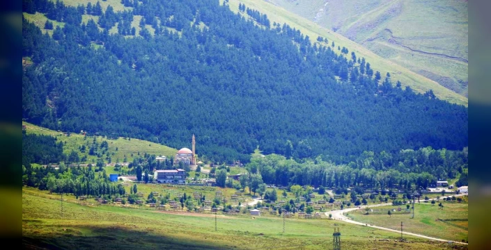 Erzurum'da orman yangını riski: Girişler yasaklandı