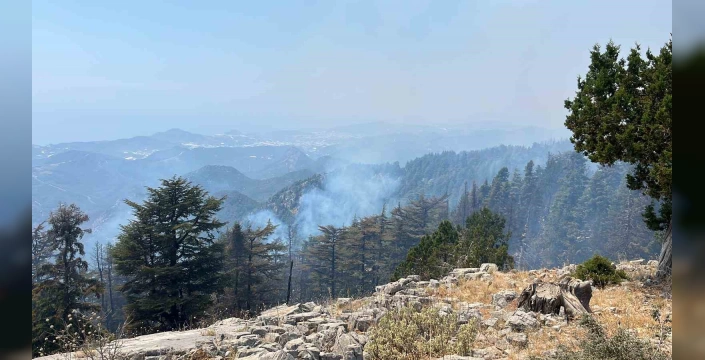 Gazipaşa'da yangın felaketi: 22 ev tahliye edildi, 15 kişi yaralandı