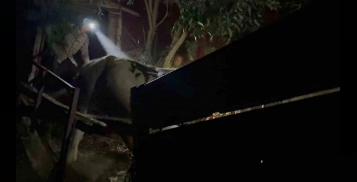 Gazipaşa'da yangın felaketi: Yüzlerce personel ve hava araçlarıyla mücadele