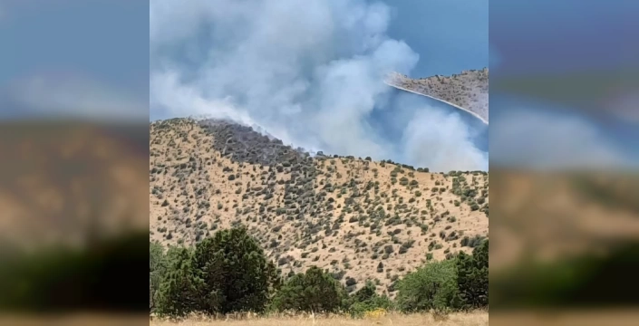 Gevaş'ta orman yangını: Ekipler yaya müdahale ediyor