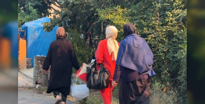 Geyve'deki yangın: Bir kaplumbağanın dramatik kurtuluşu