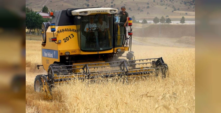 Güler, Sivas'ta Hasada Katıldı: 800 Bin Ton Buğday Bekleniyor