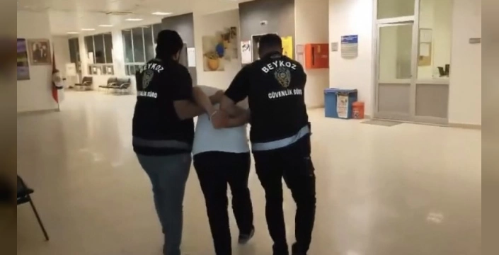 İstanbul'da Orman Yangını: Şüpheli Yakalandı