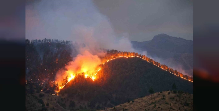 Kahramanmaraş'ta Orman Yangını: Gece Boyu Savaş Devam Ediyor