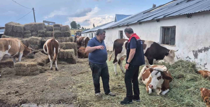 Kars'ta Hayvan Sağlığına Tam Destek: Aşılama ve Dezenfeksiyon Çalışmaları Devam Ediyor