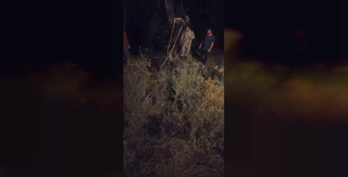 Kars'ta inek uçurumdan kurtarıldı