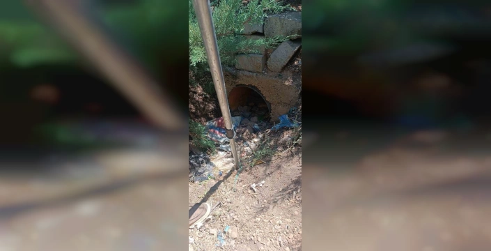 Kırşehir'de iki köpek ölümden döndü: Vatandaşların duyarlılığı faciayı önledi