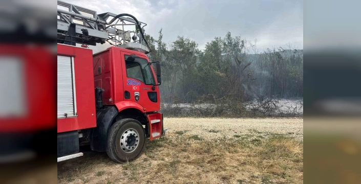 Kosova'da orman yangını: Mehmetçik alevlerle mücadele etti