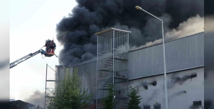 Malatya'da büyük yangın: Hırdavatçı kül oldu