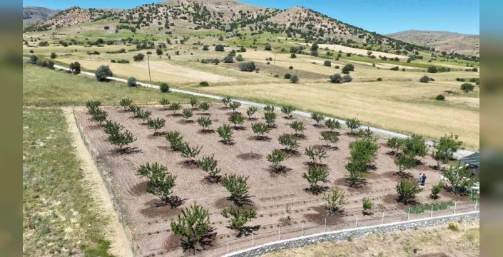 Malatya'da çiftçilere sulama sistemi desteği