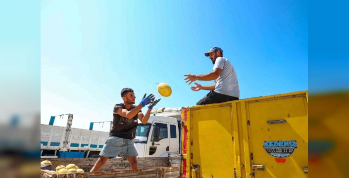 Manavgat'ta yeni toptancı hal kompleksi: üreticiler memnun