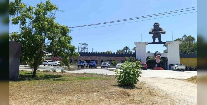 Manavgat'taki kaçan aslan: Hayvanat bahçesi mühürlendi