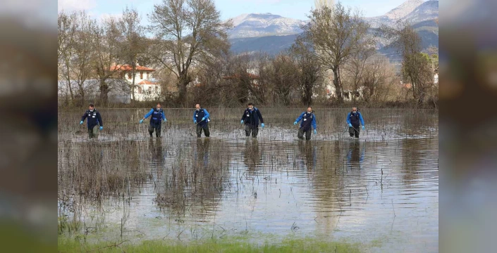 Muğla'da Vektörle Mücadele: Yaz Aylarında Sağlık Güvenliği İçin Önemli Adımlar