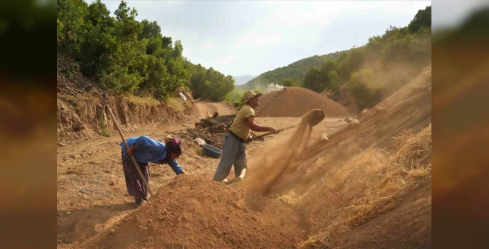 Muş Dağları'nda Ekonomik Canlanma: Mangal Kömürü Üretimi Bölgeye Zenginlik Getiriyor