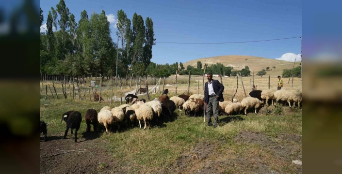 Muş'lu Çimen'in Başarısı: Babasına Çiçekli Sürpriz