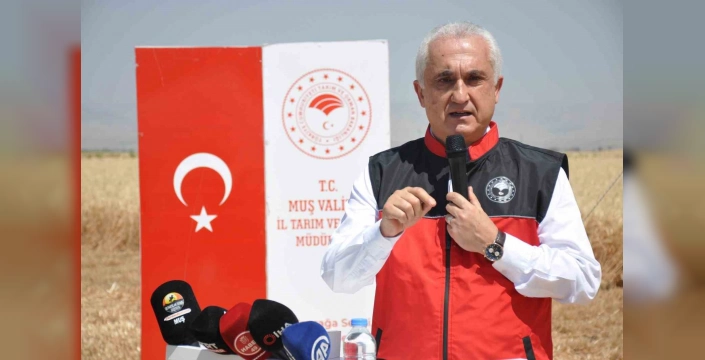 Muş Ovası'ndan 10 Milyar TL'lik Hasat: Bereketli Topraklar, Güçlü Ekonomi